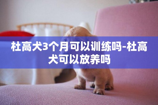 杜高犬3個月可以訓練嗎-杜高犬可以放養嗎