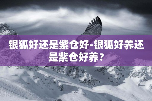 銀狐好還是紫倉好-銀狐好養還是紫倉好養？