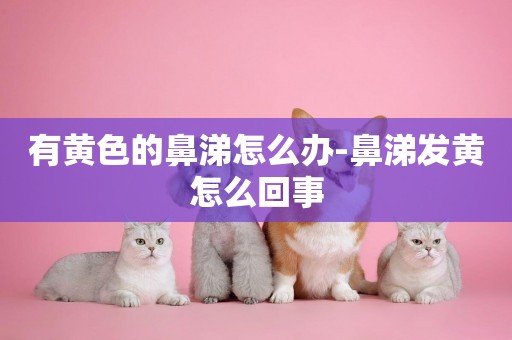 有黃色的鼻涕怎么辦-鼻涕發黃怎么回事
