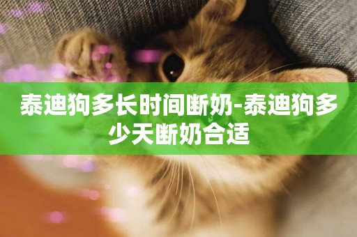 泰迪狗多長時間斷奶-泰迪狗多少天斷奶合適