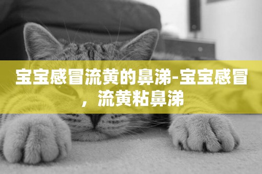 寶寶感冒流黃的鼻涕-寶寶感冒，流黃粘鼻涕