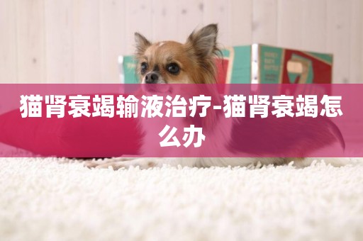 貓腎衰竭輸液治療-貓腎衰竭怎么辦