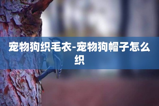寵物狗織毛衣-寵物狗帽子怎么織