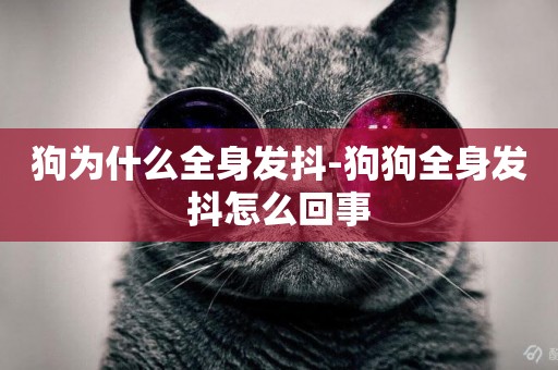 狗為什么全身發抖-狗狗全身發抖怎么回事