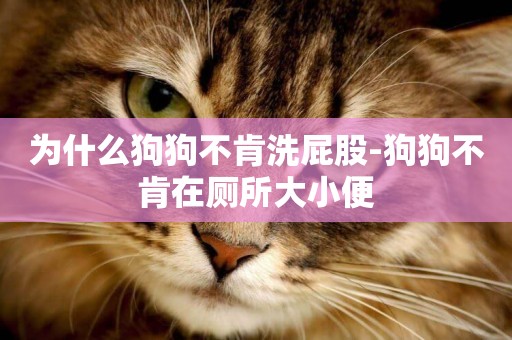 為什么狗狗不肯洗屁股-狗狗不肯在廁所大小便