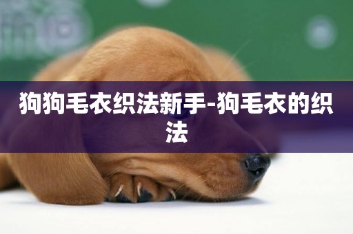 狗狗毛衣織法新手-狗毛衣的織法