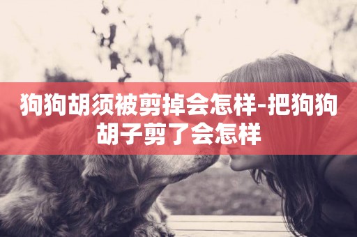 狗狗胡須被剪掉會怎樣-把狗狗胡子剪了會怎樣