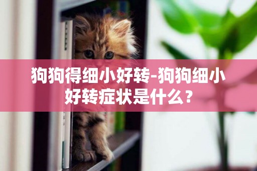 狗狗得細小好轉-狗狗細小好轉癥狀是什么？