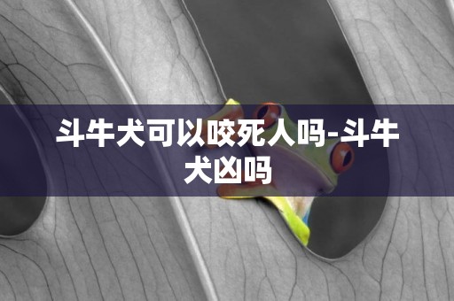 斗牛犬可以咬死人嗎-斗牛犬兇嗎