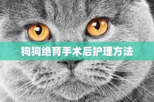 狗狗絕育手術后護理方法