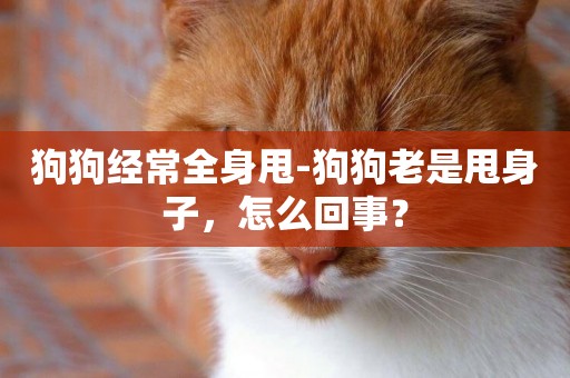 狗狗經常全身甩-狗狗老是甩身子，怎么回事？