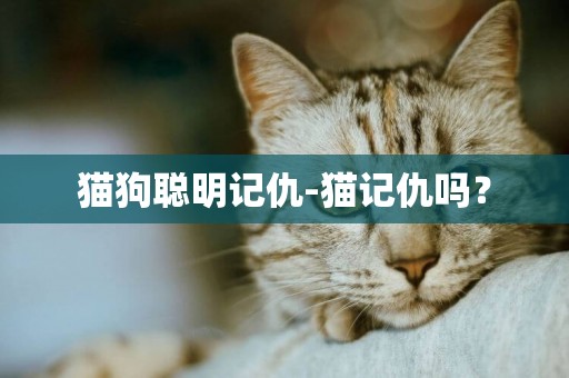 貓狗聰明記仇-貓記仇嗎？