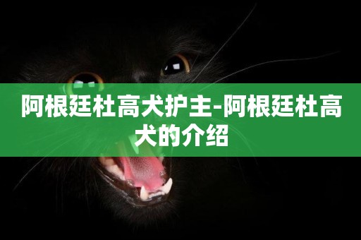 阿根廷杜高犬護主-阿根廷杜高犬的介紹