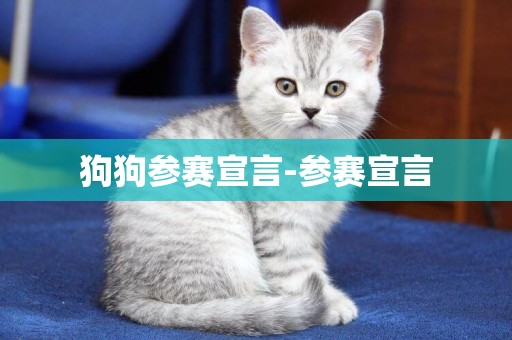 狗狗參賽宣言-參賽宣言