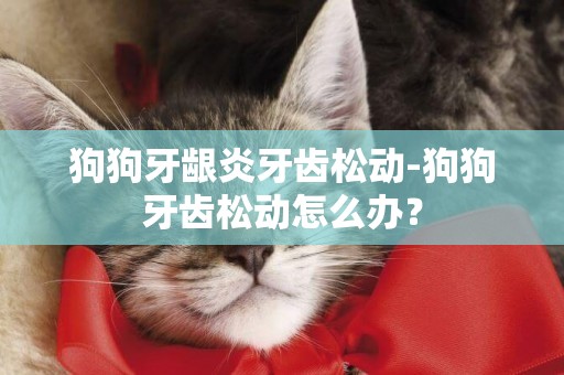 狗狗牙齦炎牙齒松動-狗狗牙齒松動怎么辦？