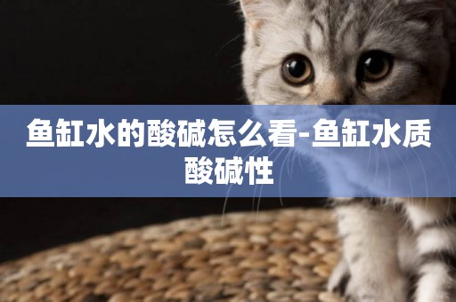魚缸水的酸堿怎么看-魚缸水質酸堿性