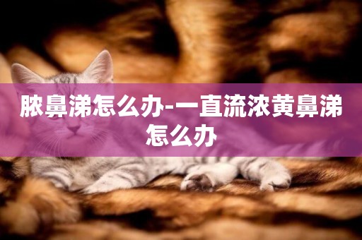 膿鼻涕怎么辦-一直流濃黃鼻涕怎么辦