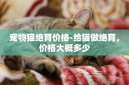 寵物貓絕育價格-給貓做絕育，價格大概多少