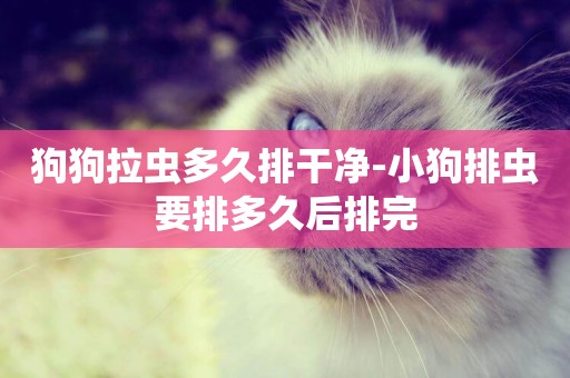 狗狗拉蟲多久排干凈-小狗排蟲要排多久后排完