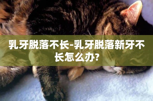 乳牙脫落不長-乳牙脫落新牙不長怎么辦?