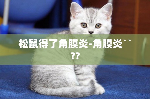 松鼠得了角膜炎-角膜炎``??