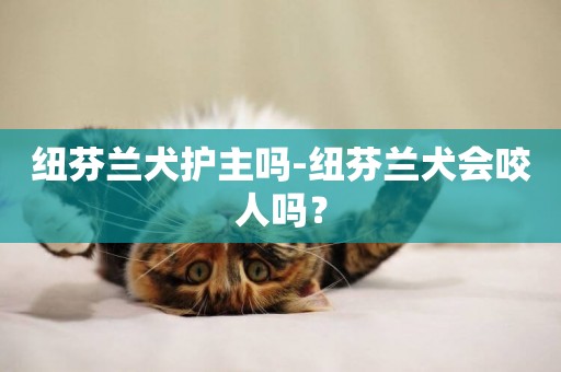 紐芬蘭犬護主嗎-紐芬蘭犬會咬人嗎？