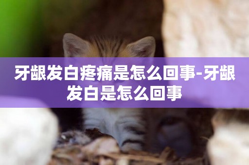 牙齦發白疼痛是怎么回事-牙齦發白是怎么回事