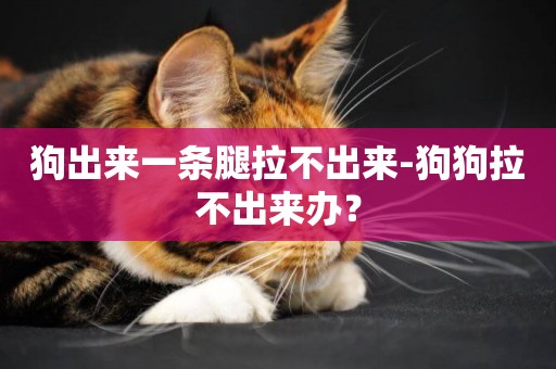 狗出來一條腿拉不出來-狗狗拉不出來辦？