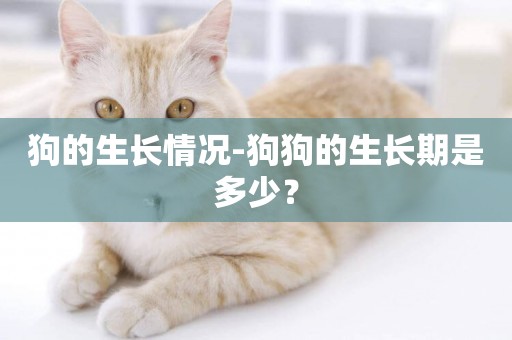 狗的生長情況-狗狗的生長期是多少？
