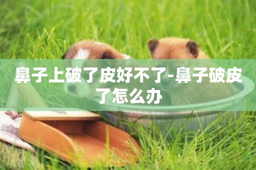 鼻子上破了皮好不了-鼻子破皮了怎么辦