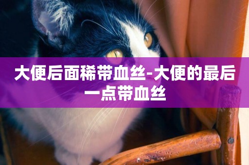 大便后面稀帶血絲-大便的最后一點帶血絲
