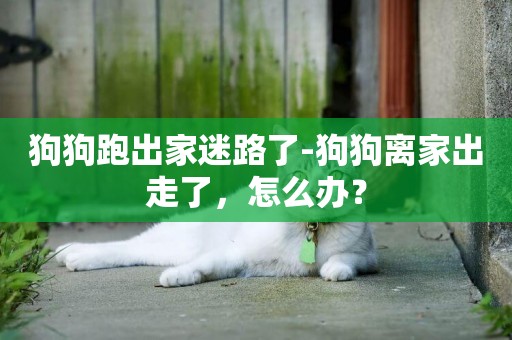 狗狗跑出家迷路了-狗狗離家出走了，怎么辦？