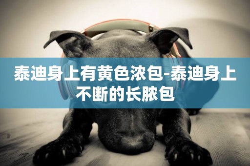 泰迪身上有黃色濃包-泰迪身上不斷的長膿包