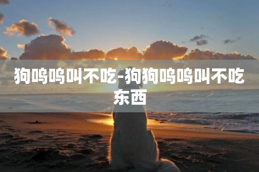 狗嗚嗚叫不吃-狗狗嗚嗚叫不吃東西
