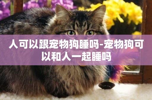 人可以跟寵物狗睡嗎-寵物狗可以和人一起睡嗎