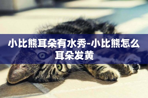 小比熊耳朵有水秀-小比熊怎么耳朵發黃