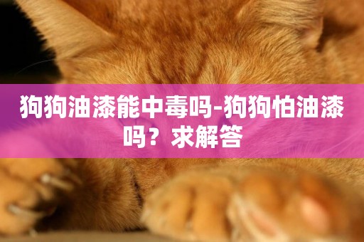 狗狗油漆能中毒嗎-狗狗怕油漆嗎？求解答