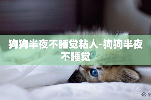狗狗半夜不睡覺粘人-狗狗半夜不睡覺