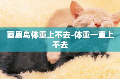 畫眉鳥體重上不去-體重一直上不去