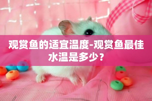 觀賞魚的適宜溫度-觀賞魚最佳水溫是多少？