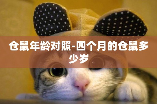 倉鼠年齡對照-四個月的倉鼠多少歲