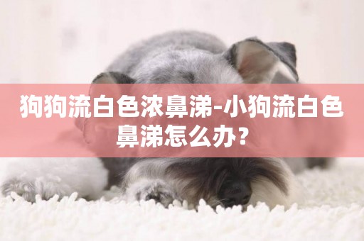狗狗流白色濃鼻涕-小狗流白色鼻涕怎么辦？
