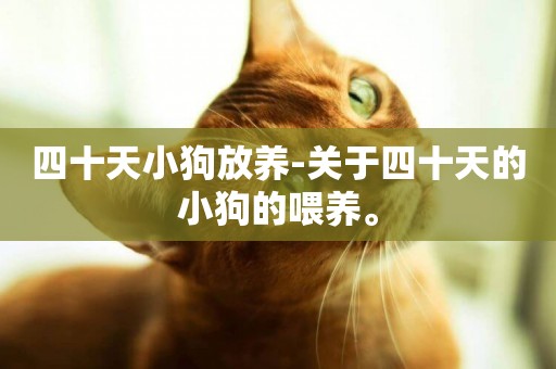 四十天小狗放養-關于四十天的小狗的喂養。