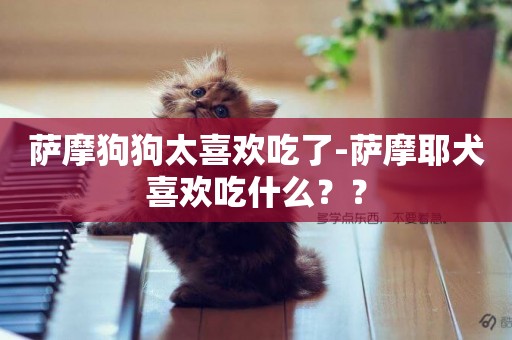 薩摩狗狗太喜歡吃了-薩摩耶犬喜歡吃什么？？