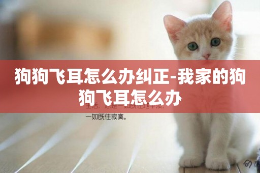 狗狗飛耳怎么辦糾正-我家的狗狗飛耳怎么辦