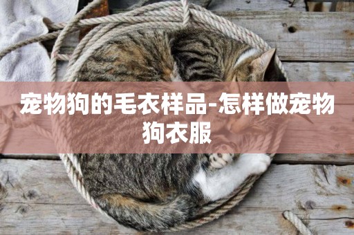 寵物狗的毛衣樣品-怎樣做寵物狗衣服