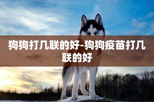 狗狗打幾聯的好-狗狗疫苗打幾聯的好