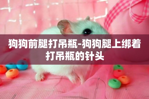 狗狗前腿打吊瓶-狗狗腿上綁著打吊瓶的針頭