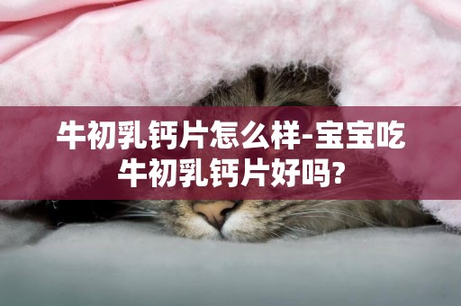 牛初乳鈣片怎么樣-寶寶吃牛初乳鈣片好嗎?