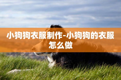 小狗狗衣服制作-小狗狗的衣服怎么做